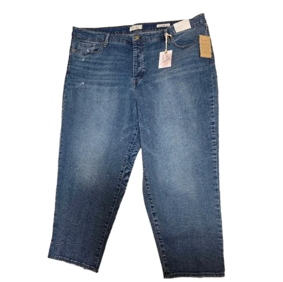 Jessica Simpson Throwback Vintage Straight Jeans 24W NWT Plus - Picture 1 of 8